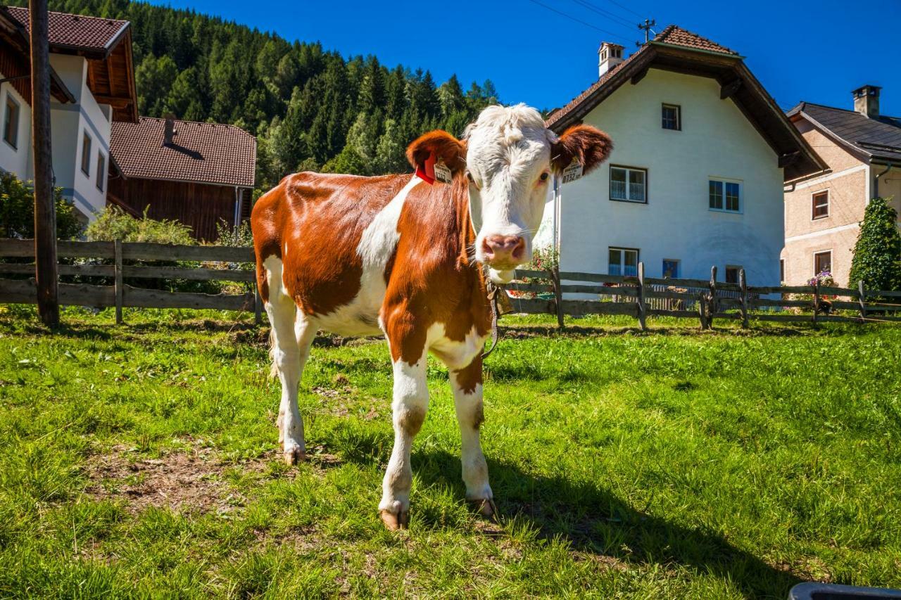 Grillhof-Gut Villa Mauterndorf  Eksteriør bilde