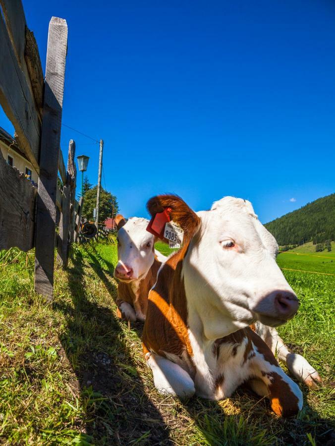 Grillhof-Gut Villa Mauterndorf  Eksteriør bilde