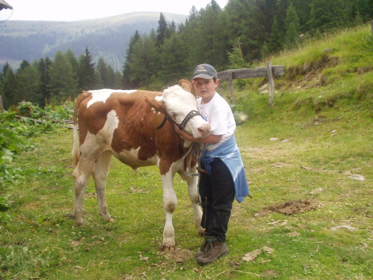 Grillhof-Gut Villa Mauterndorf  Eksteriør bilde